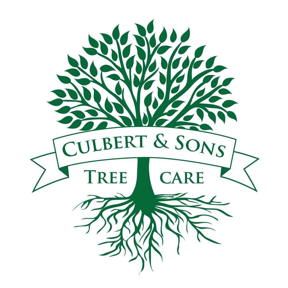 Clubert Sons Logo